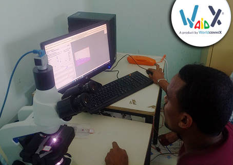 WaidX: ICT innovation applied to diagnostics saves lives. Horn of Africa project in Djibuti.